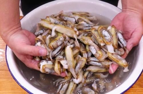 八月|八月,碰到这海鲜别手软10块一斤,比猪肉还香,营养美味高蛋白