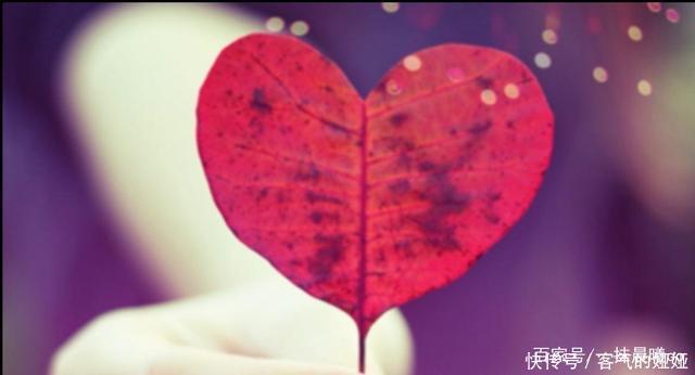  地方|触目惊心：有孩子的父母再忙也要看，暑假决不能让孩子去这些地方