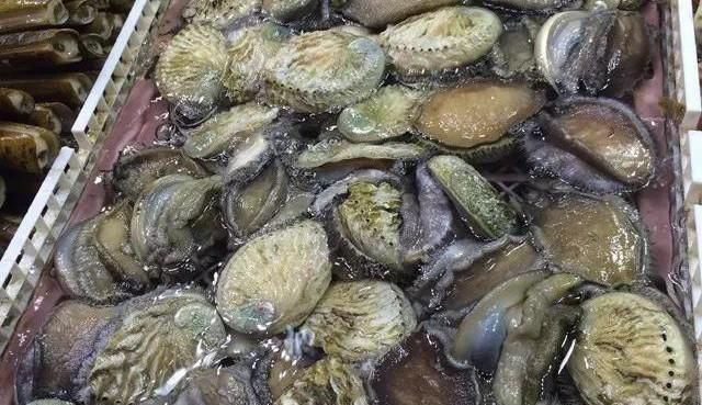 海鲜|世界上65种珍奇海鲜,贝爷都不敢说全部吃过,你吃过几种