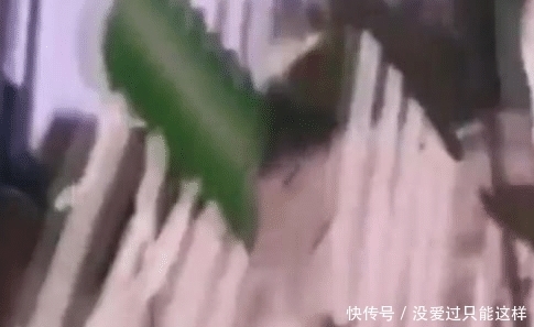 慢慢|抬棺材时为什么棺材不能落地?老者慢慢道出了原因!