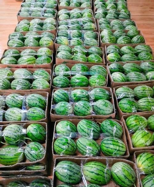 毕业|这所大学用食堂征服学生,饭菜香到哭,学生不想毕业,没吃够