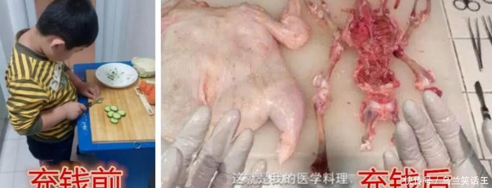 医学生|充钱前VS充钱后,体育生太秀,医学生吓人,看见美术生:大佬!