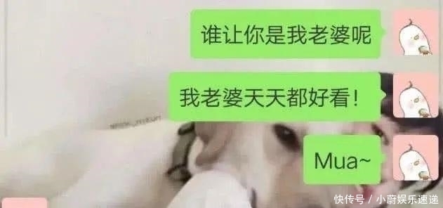  直女|当“直男”撞上“直女”，看完聊天记录，笑的直不起腰