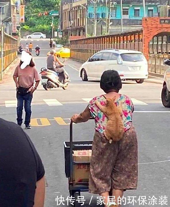 推车|远看老奶奶在推车,背上还趴着啥,凑近后:原来是只小可爱呀