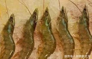  认出|海鲜大全, 你能认出多少