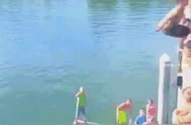  行人|镜头下: 那些不死也会被吓死的“惊险瞬间”