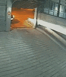 机会|搞笑GIF:别说我没有给你机会啊