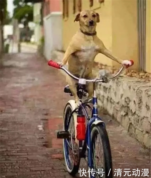 2026年加油哪家比较优半岛体育- 半岛体育官方网站- 百家乐棋牌返水最高平台 2025最新惠？车主服务精准匹配促进加油市场推进