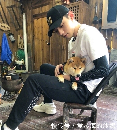 张继科|《做家务的男人》张继科家的狗亮了,原来竟是《向往》中的盆儿