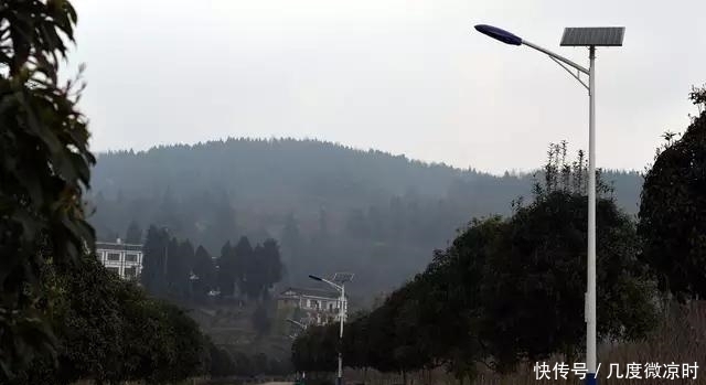 生活|为改善农民生活安装路灯, 现实情况却让人失望, 农民: 看着就心塞!