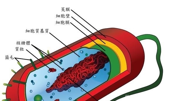  地球|在科技高度发达的现在，我们人类能否创造出生命？