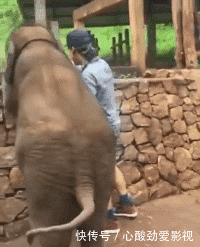 难受|“妹子的护甲快掉了,我看着都难受...”哈哈哈又犯强迫症了!