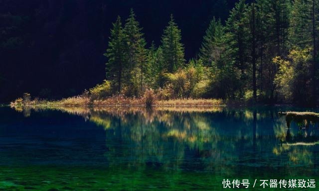 极端|在爱情里十分极端的星座,为了爱人辜负所有人,非常固执