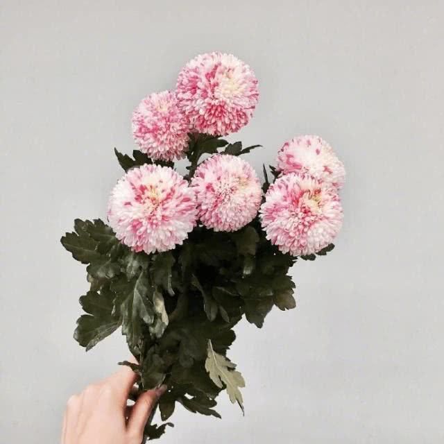 心语|简单干净的晚安心语，温暖治愈，你最喜欢哪句？