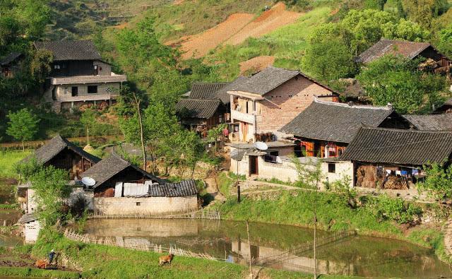 房前|古人为何说:“房前不栽树,屋后不种花”到底有何深意?