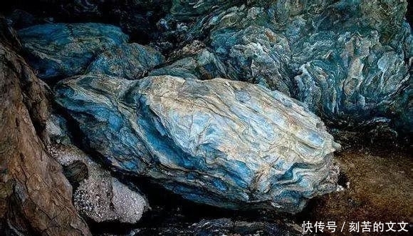  认出|海鲜大全, 你能认出多少