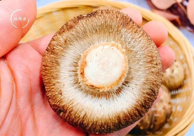 老板|买香菇时,碰到这4种香菇我扭头就走,老板说这人是真正的行家