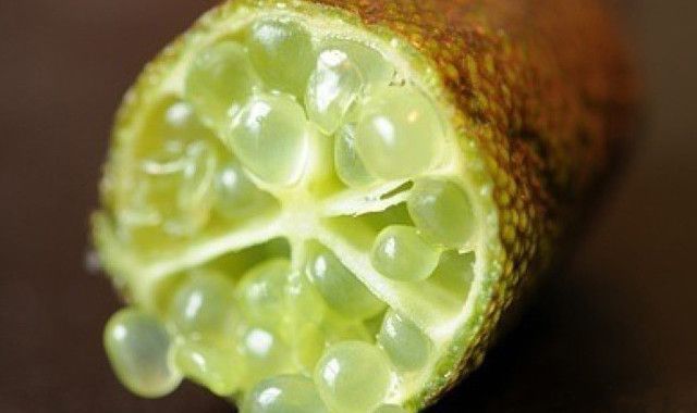 鱼子酱|世界上最贵的水果,第一个水果中的鱼子酱,最后一个超出你的想象