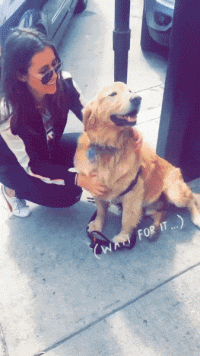 人生|妹子,为了孩子,你的吃货人生真是牺牲太多了,难为你了!