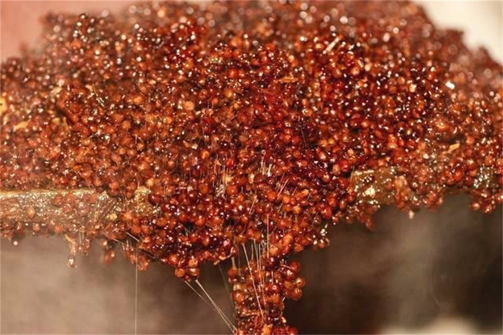 香气|酒知识:浓香型白酒的香,到底是什么香?