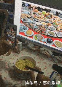 嫦娥|搞笑GIF:嫦娥姐姐是你吗?我是天蓬啊