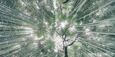 孙权病重|孙弘:搅乱风云,机关算尽终无用