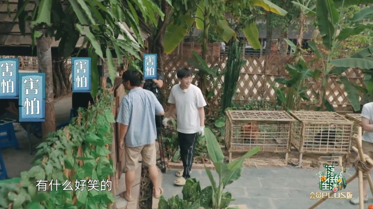  何老师|一只鸡要十捆香蕉！黄磊拿板砖“威胁”导演，周迅调侃彭彭太自恋