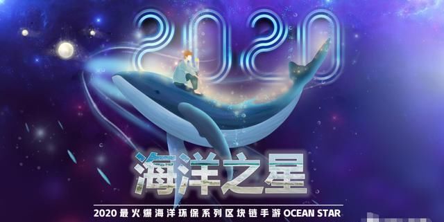  宠物|“海洋之星”宠物盘崩盘跑路，卷走金额高达数千万之多