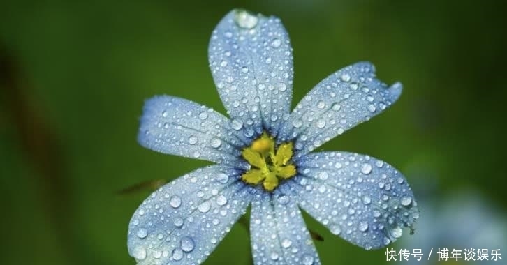  之人|8月开始财运一旺再旺，事业一直发，全家享福的四大生肖