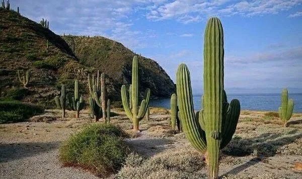 能量|有小小正能量的短句,适合做个性签名