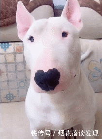 骑车|大哥,你这样骑车,看得见路吗?全凭感觉?