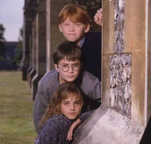  哈利|70万人打出9分，尖叫和眼泪都为它准备好了