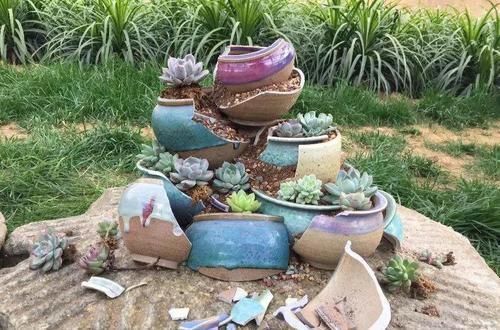 个个|他用菜坛子养多肉,1分不花又好看,个个壮得像白菜