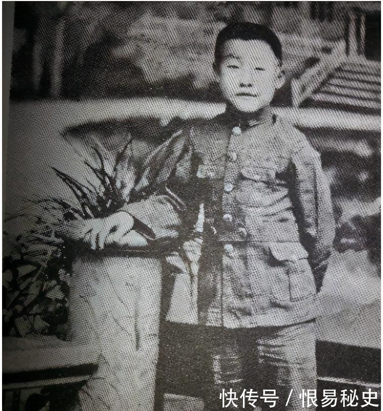 枪决|韩复榘被枪决之后,他的妻子和小妾沦落到哪里?儿子结局如何?