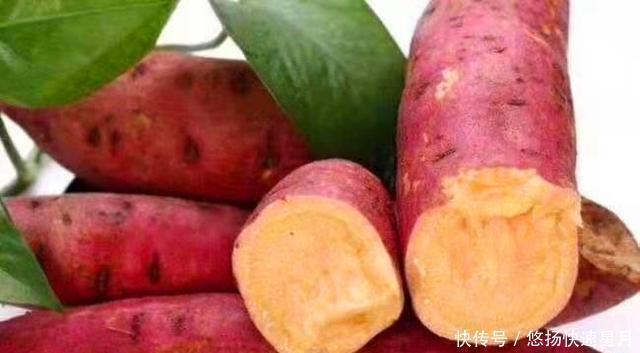 红心|同是红薯,“红心”和“黄心”的有啥区别,老农民别再瞎买了