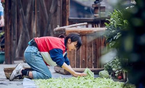 向往|赵今麦问张子枫为什么不邀请我去《向往的生活》,张子枫的回答太幽默了