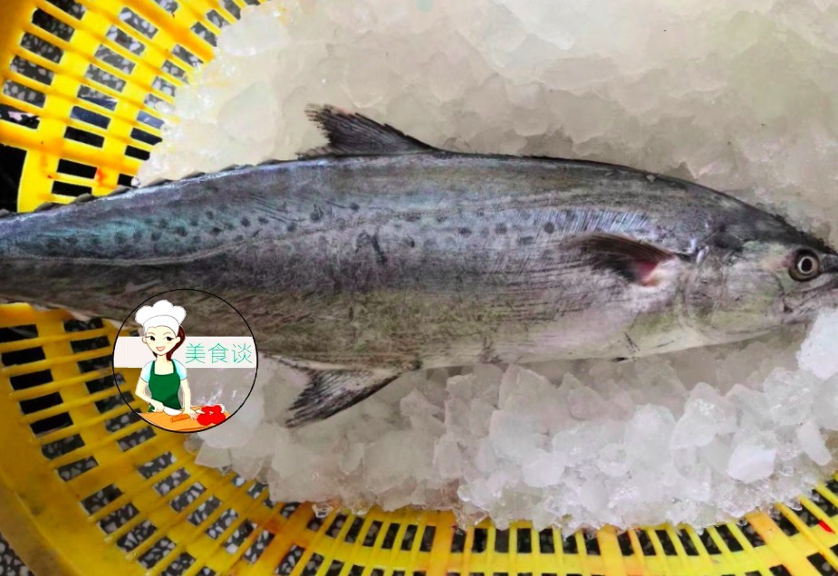  养殖|夏天吃鱼就该吃此鱼，目前无法人工养殖，肉厚刺少，煎着吃贼香
