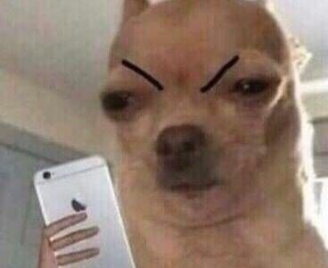 窝囊气|140亿的“0糖气泡水”,喝的是一口窝囊气!