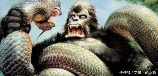 上古|上古九大蛇妖, 逆无限时空, 窃天地命运!