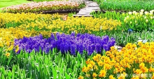  钞票|9月上旬，开门大吉，富贵难挡，横财大奖连续发，钞票堆成山生肖