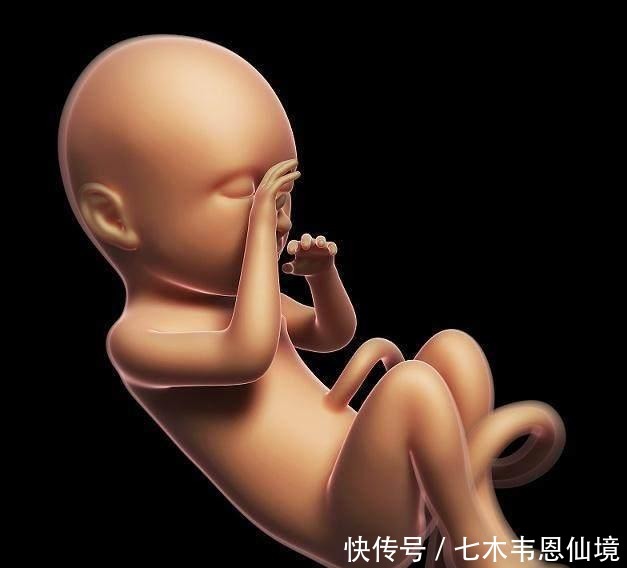 医生|四维做到一半,小家伙竟然在妈妈腹中干“坏事”,连医生都乐了