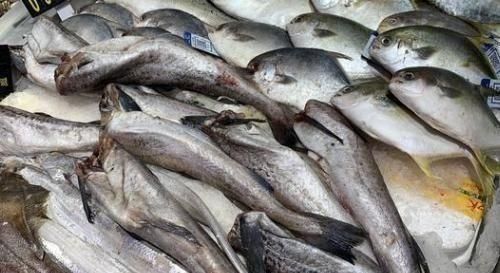 嫌弃|被人误解最深的鱼,因冷冻被人嫌弃,其实它比鲅鱼香,比鲫鱼营养