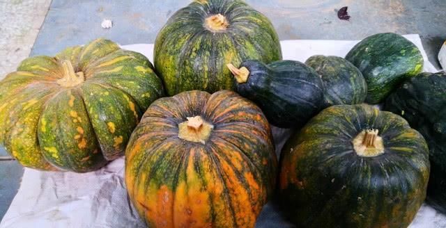 老妈|晒晒我老妈的囤菜,2个月不出门都饿不着,网友:想去你家搬菜