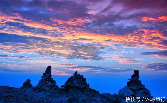  森林|高温席卷的初夏，不如去这些堪比童话仙境的小众森林里乘个凉！