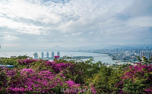 爱上读书馆|三亚,一个去了就不想走的城市4天3晚,带你玩转三亚精华