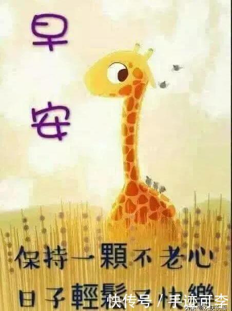  早安|走过,经过,尝过,还是平淡最美;听过,看过,想过,还是简单最好,早安