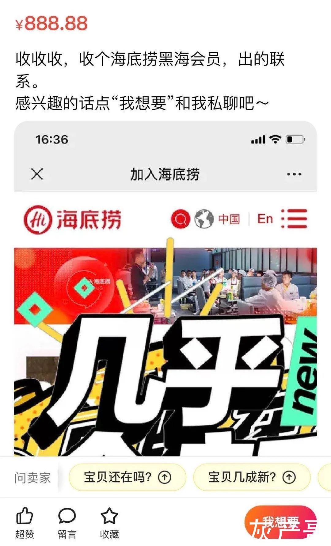 账号|紧急封停2200个账号,海底捞这是怎么了