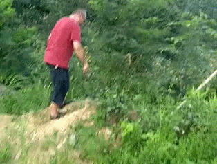 王者|搞笑GIF趣图:她曾经是个王者,后来