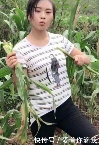 大学生|90后女大学生帮父母掰玉米,口干了没水,下一幕她的做法让人惊讶