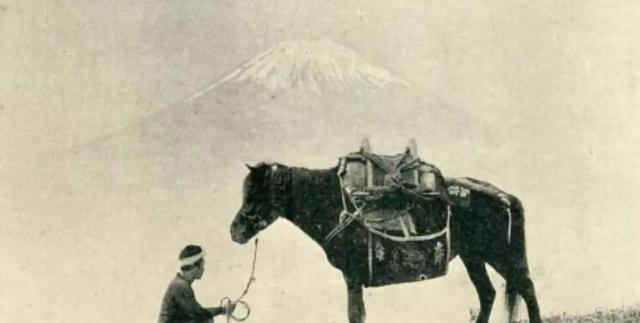 代骑兵|从古代“猴子骑驴”到抗战高头大马,日本骑兵到底发生了啥